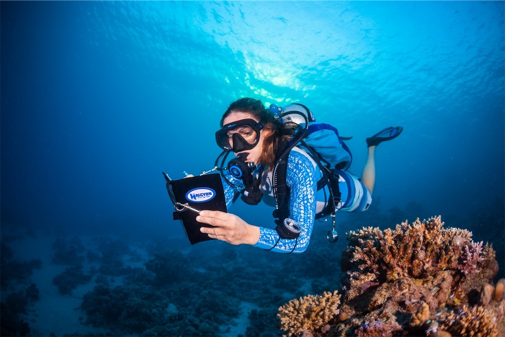 Halcyon Diver's Notebook 4