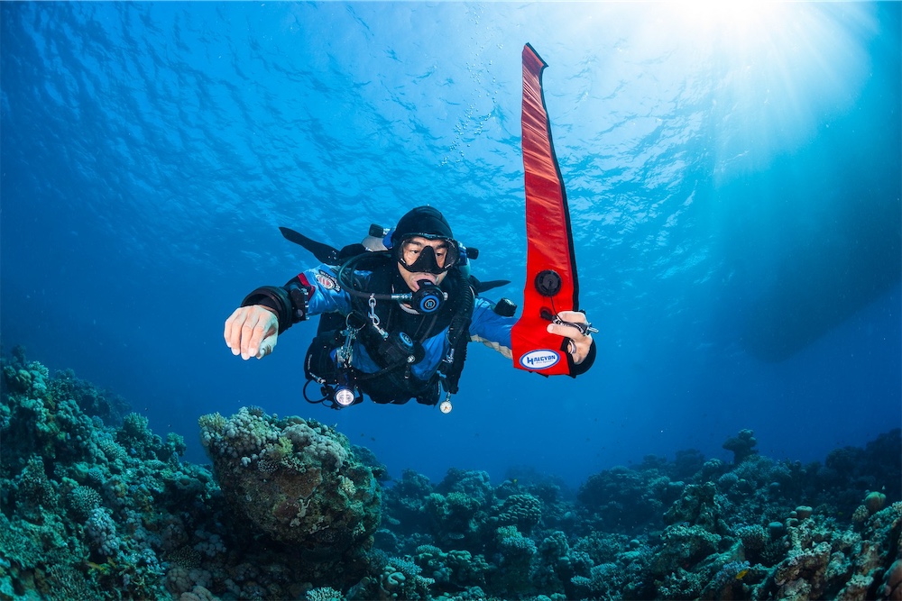 Halcyon Super Big Closed Circuit Dam (1.8 m Tall 23.6 kg) 3