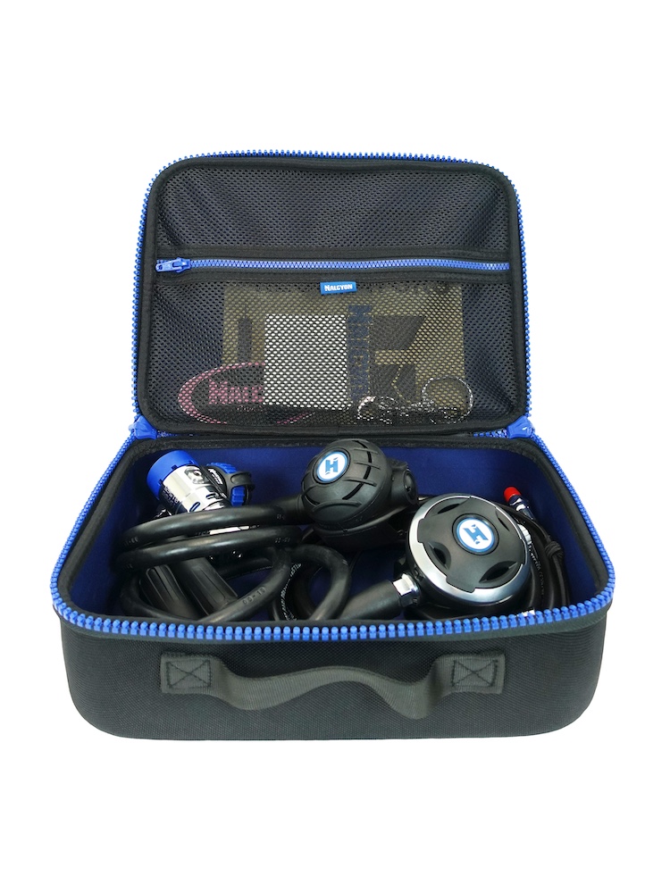 Halcyon Voyager Case 4